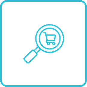 E-commerce Audit